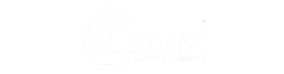 بنتكس