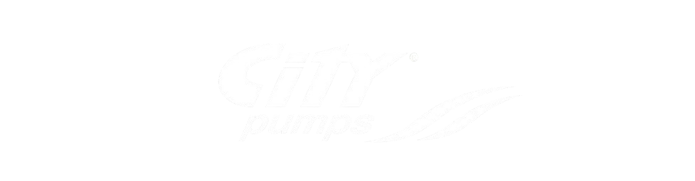 سيتي